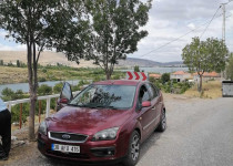 Derin bordo